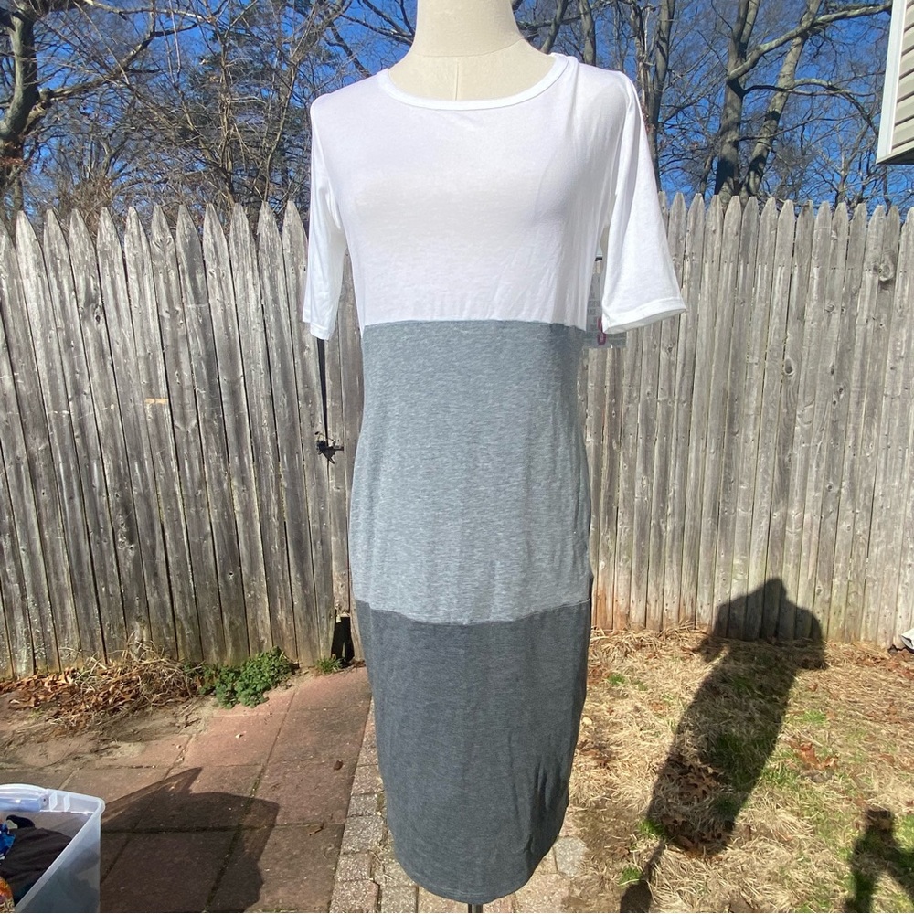 NWT Julia bodycon dress
